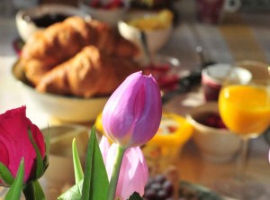 crop_DSC_0926